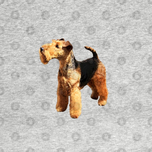 Welsh Terrier Beautiful Dog by ElegantCat